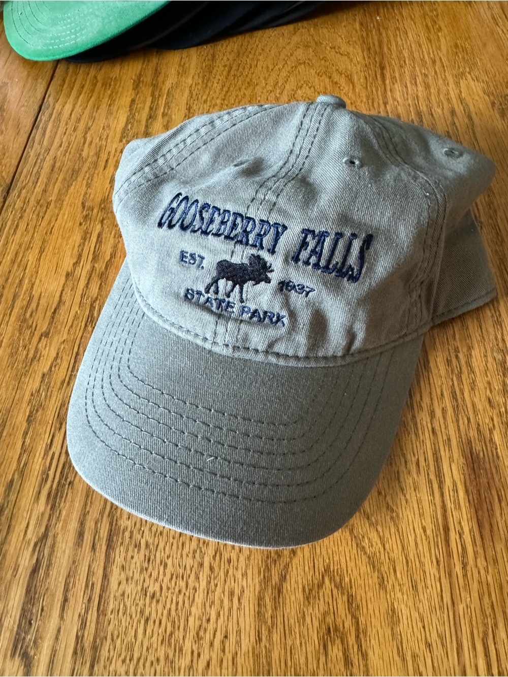 Gooseberry Falls State Park Gray Baseball dad Cap with Embroidered Moose